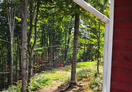 DSC 0208 (5767 visits) DSC 0208