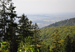 DSC 0261 (6332 visits) DSC 0261