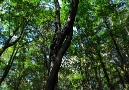 DSC 0067 (3564 visits) DSC 0067