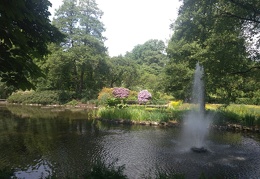 IMG-20170531-WA0046 (1772 visits) IMG-20170531-WA0046