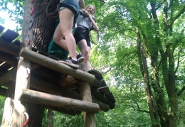 IMG-20170531-WA0051 (1814 visits) IMG-20170531-WA0051