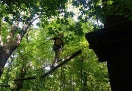 IMG-20170531-WA0059 (1838 visits) IMG-20170531-WA0059