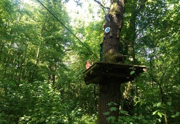 IMG-20170531-WA0061 (1825 visits) IMG-20170531-WA0061