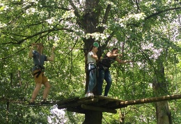 IMG-20170531-WA0065 (1800 visits) IMG-20170531-WA0065