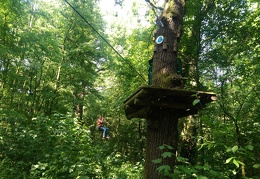 IMG-20170531-WA0066 (1833 visits) IMG-20170531-WA0066