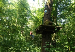 IMG-20170531-WA0067 (1830 visits) IMG-20170531-WA0067