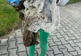 557578821 826691036550469 5911752893572805601 n