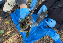 558722800 826690779883828 181043725659242017 n