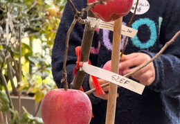 569666006 842484631637776 8400006005773474169 n