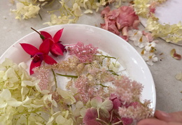 570207466 842484691637770 7388408075517390465 n