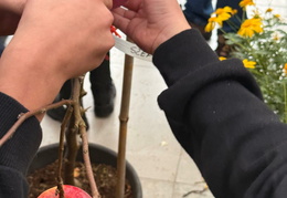 570026694 842484544971118 4139020546552684426 n