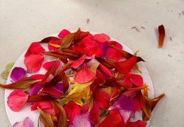 571037014 842481308304775 4816890039312317658 n