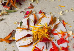 571234337 842481231638116 1009554726321989413 n